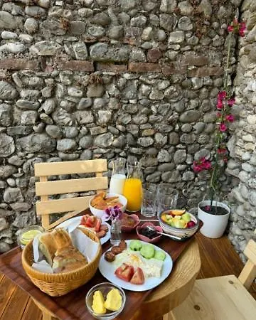 Ikona Shkoder
